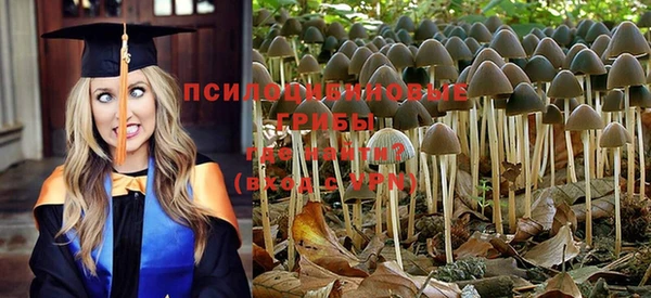 PSILOCYBIN Балабаново