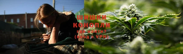 PSILOCYBIN Балабаново